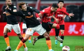 莱切特成都蓉城